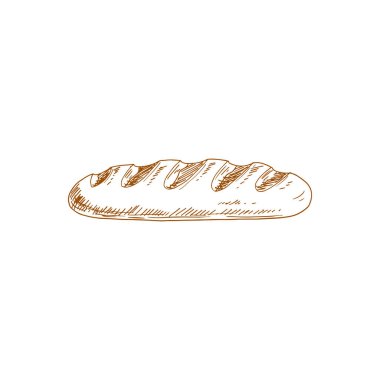 French baguette isolated oblong shape bun sketch. Vector bakery product, wheat bread, pastry food
