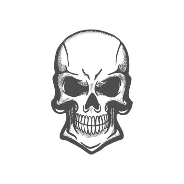 Skull human skeleton head isolated sketch. Vector death symbol, tattoo death mascot