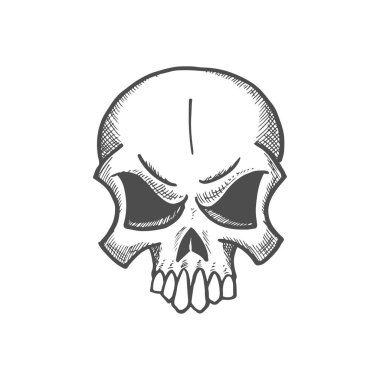 Angry skull with sharp teeth isolated dead person head sketch. Vector monochrome skeleton face, tattoo design