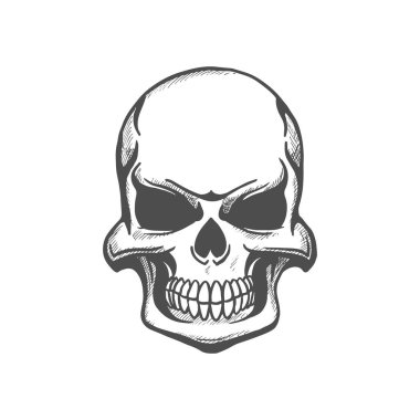 Skull human skeleton head isolated sketch. Vector death symbol, tattoo death mascot