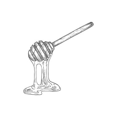 Sweet honey dipping isolated sketch. Vector dipper wooden spoon food utensil to dip honey
