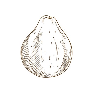 Guava tropical fruit with leaf, whole and half isolated. Vector cut exotic lemon guava with red flesh