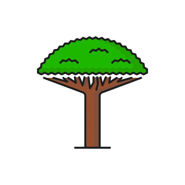 Green Tropical Tree Icon Forest Jungle Park Beach Vector Isolated — 图库矢量图片