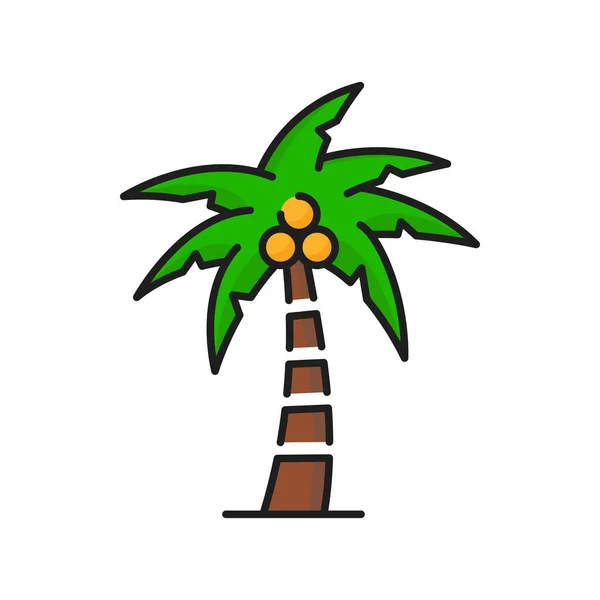 Palm Coconuts Green Tropical Tree Icon Jungle Forest Park Tree — Stockvector