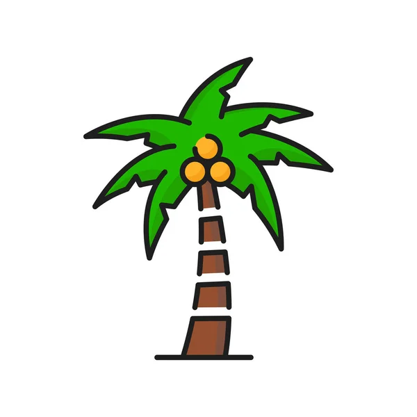 Palm Coconuts Green Tropical Tree Icon Jungle Forest Park Tree — Vetor de Stock