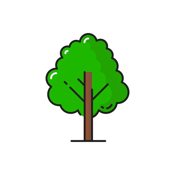 Green Tree Icon Forest Garden Plant Vector Isolated Symbol Oak — Archivo Imágenes Vectoriales