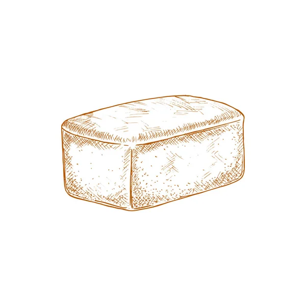 Wheat Square Bread Isolated Monochrome Sketch Vector Pastry Food Bakery — Vector de stock