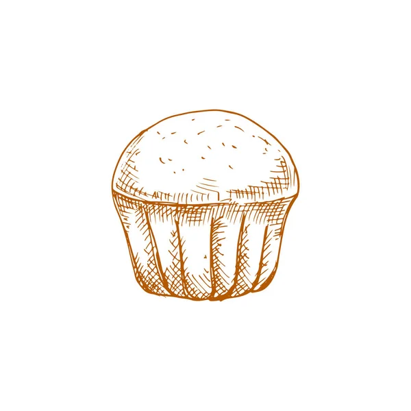 Cupcake Isolated Hand Drawn Sketch Vector Pastry Food Dough Baked — ストックベクタ