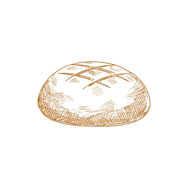 Круглый Коричневый Булочка Изолированный Рисованный Вручную Эскиз Векторный Ржаной Хлеб — стоковый вектор