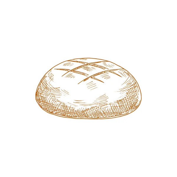 Brown Bread Bun Isolated Hand Drawn Sketch Vector Rye Loaf — Stockvektor