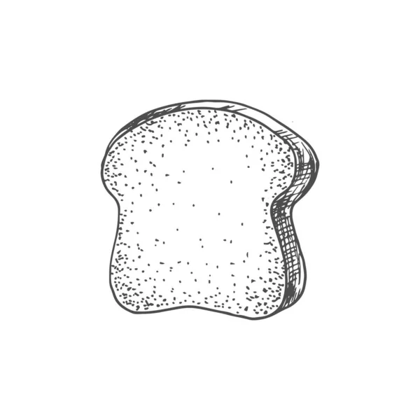 Toast Bread Isolated Piece Pastry Food Vector Bakery Product Sandwich — Image vectorielle