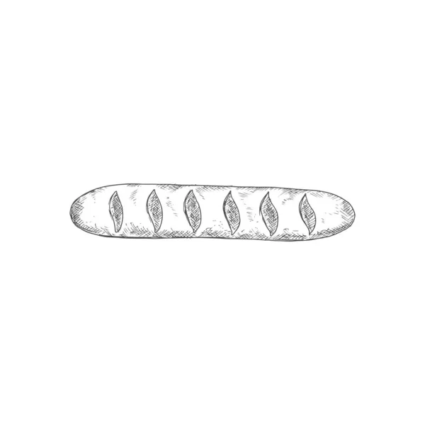 French Baguette Isolated Oblong Shape Bun Sketch Vector Bakery Product — 스톡 벡터
