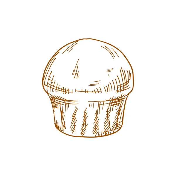 Muffin Cupcake Isolated Pastry Food Sketch Vector Baked Cake Bun — Archivo Imágenes Vectoriales