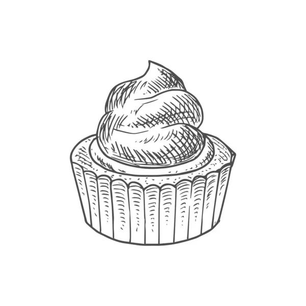 Homemade Buttercream Cake Muffin Whipped Cream Isolated Sketch Vector Sweet — Vettoriale Stock