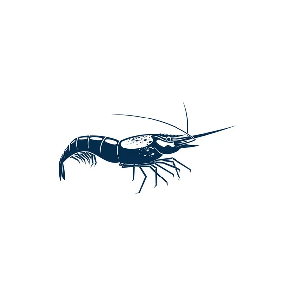 Shrimp Whiskers Isolated Underwater Animal Vector King Prawn Seafood Tiger — Vector de stock