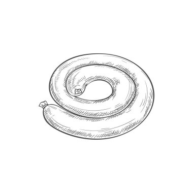 Whole thick sausage isolated meat ring sketch. Vector beef or pork sausage