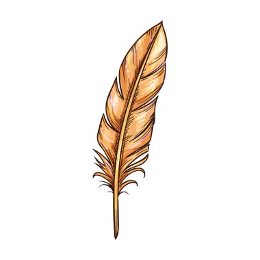 Feather quill vector sketch icon. Feather pen or vintage literature and poet writing supply