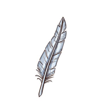 Feather quill vector sketch. Old literature and poet writing feather pen supply