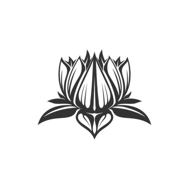 Waterlily hand drawn lotus flower, Buddhism symbol. Vector water lily blooming exotic plant