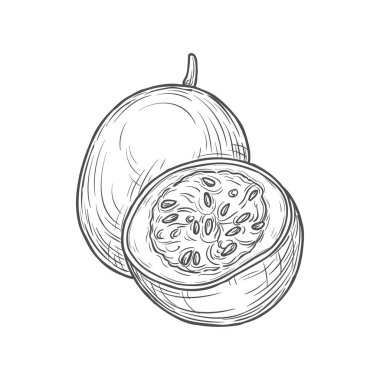 Maracuya isolated cut in half and whole passion fruit sketch. Vector round pepo berry filled with seeds, tropical food Passiflora edulis monochrome icon. Passionfruit section with seeds exotic dessert