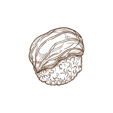 Nigiri sushi sketch, Japanese restaurant food menu, hand drawn vector. Nigiri sushi rice with fish or seafood fish, Japanese cuisine traditional food meals, isolated icon