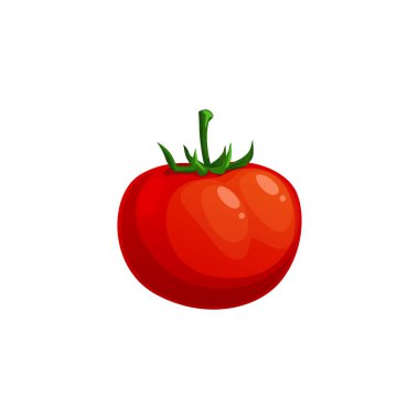 Ripe tomato vector icon, natural vegetable, healthy food isolated on white background. Cartoon element for design, organic veggies, fresh natural plant