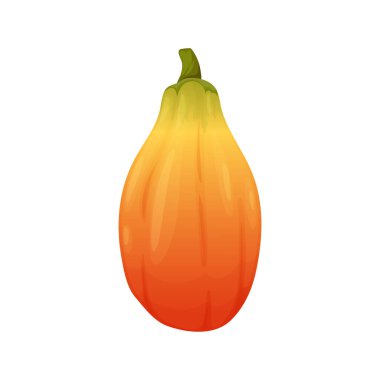Pawpaw tropical fruit isolated papaya exotic food dessert flat cartoon icon. Vector papaw Carica papaya, eaten raw. Babaco hybrid, realistic asian snack. Tropical pawpaw, fragrant orange fruit