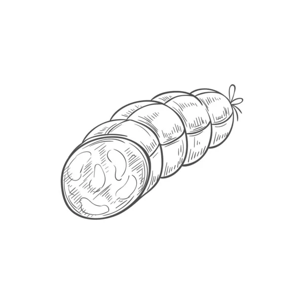 Boiled Tied Sausage Isolated Cut Kielbasa Sketch Vector Pepperoni Meat — Stockový vektor