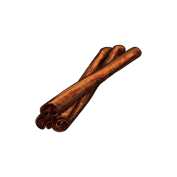 Cinnamon Bark Strip Sticks Isolated Aromatic Spice Vector Sketch Flavoring — Vettoriale Stock