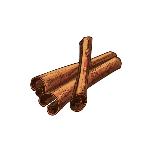 Cinnamon Bark Strip Sticks Isolated Aromatic Spices Sketch Vector Flavoring — Stockvector