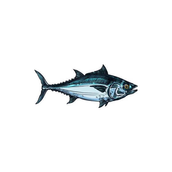 Bluefin Tuna Blackfin Longtail Fish Isolate Sketch Vector Scombridae Mackerel — Vetor de Stock