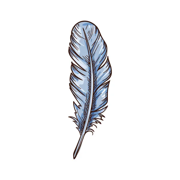 Feather Quill Sketch Icon Vector Isolated Feather Pen Vintage Literature — 스톡 벡터