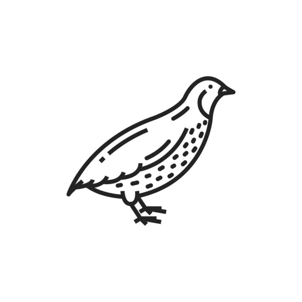 Quail Bird Isolated Monochrome Icon Vector Partridge Farm Animal Poultry — Vector de stock