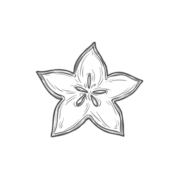 Sliced Star Shape Carambola Isolated Cut Fruit Hand Drawn Monochrome — Stock Vector