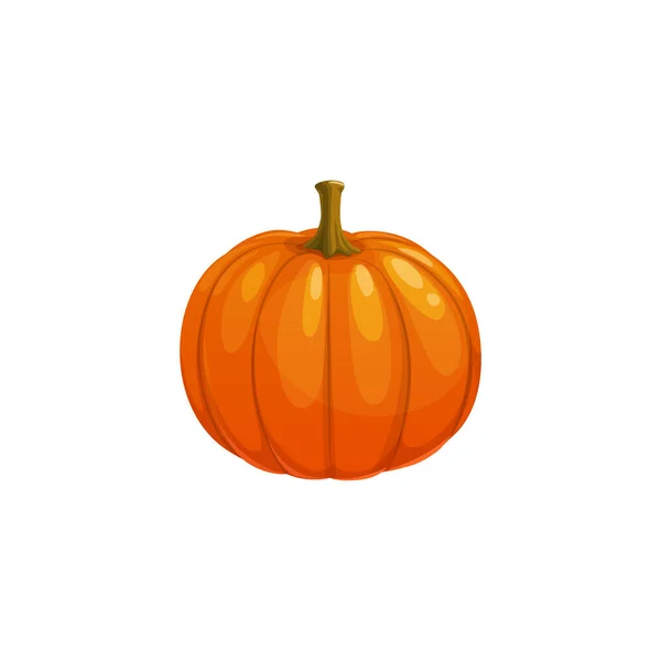 Pumpkin Isolated Vector Icon White Background Ripe Raw Plant Vegetable — 图库矢量图片