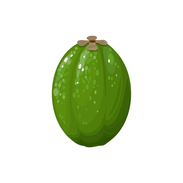 Guavasteen Feijoa Isolated Whole Exotic Fruit Flat Cartoon Icon Vector — Stockvektor