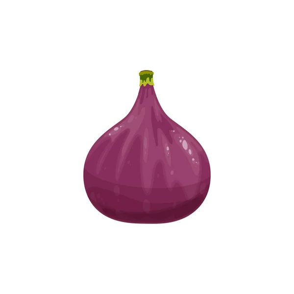 Whole Common Fig Purple Tropical Fruit Isolated Flat Cartoon Berry — Stockvektor