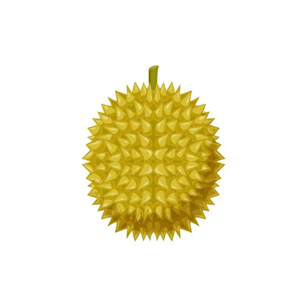 Durian Exotic Dessert Tasty Yellow Pulp Isolated Flat Cartoon Design — Stockvector