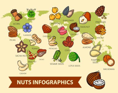 World map with nuts and seeds. Infographics of vector cashew, peanut, almond and walnut, pistachio, hazelnut and coconut. Chestnut, pecan, acorn and pine nuts, sesame and flax seed exporting countries