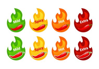 Hot spicy level labels with fire flames. Tabasco sauce or cayenne pepper spicy scale with fire flames. Ketchup, hot spice or meal taste meter icons, vector indicators or stickers