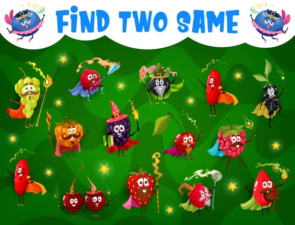 Find Two Same Cartoon Berry Wizard Mage Fairy Characters Game — Image vectorielle