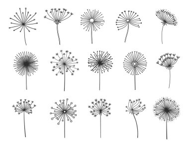 Dandelion silhouettes set, flower seeds in wind, vector flying spring blossoms. Dandelion plant floral fluffs in thin line, fluffy dandelion pattern in blow, softness, freedom or tranquility symbol