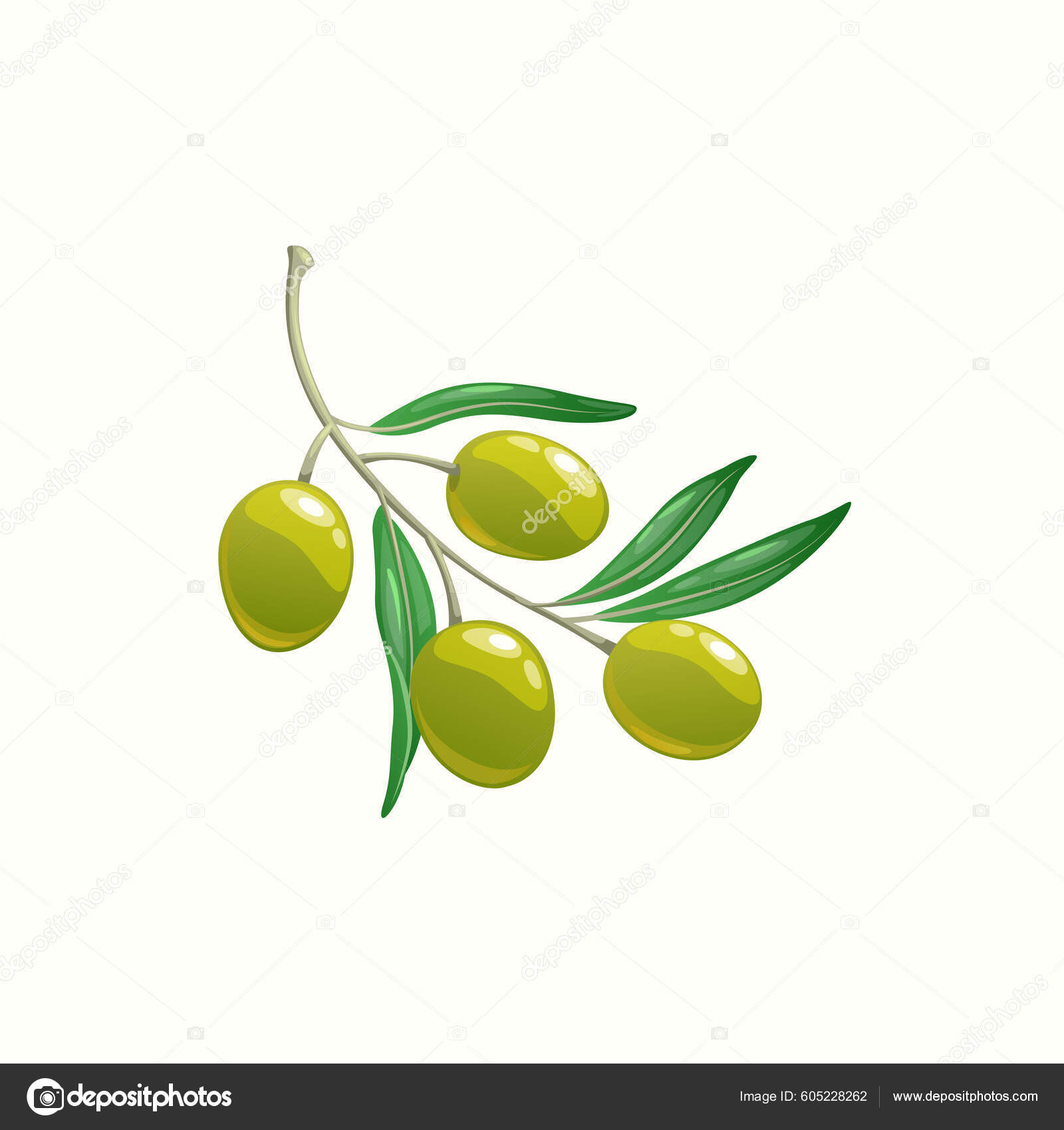 Branch Ripe Olive Oils Leaves Isolated Cartoon Realistic Icon Vector Stock  Vector by ©Seamartini 605228262