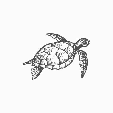 Leatherback sea turtle isolated marine underwater animal monochrome sketch icon. Vector aquatic wildlife lute or leathery turtle. Luth, largest of all living tortoise, tribal loggerhead creature clipart