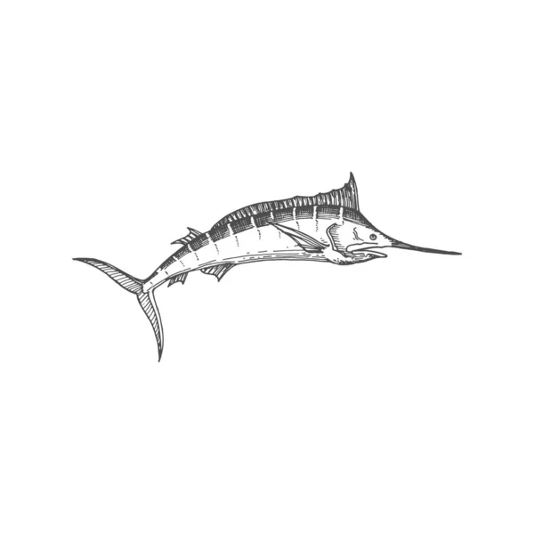 Swordfish Icon Isolated Long Toms Fish Monochrome Sketch Vector Long — Stock Vector