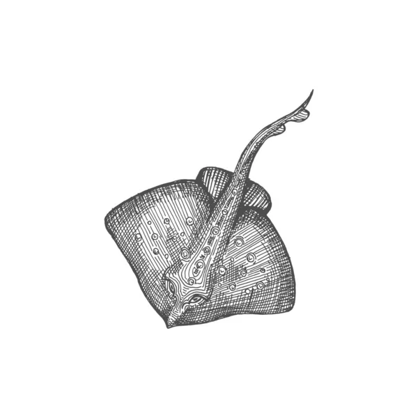 Stingray Fish Mascot Isolated Devil Fish Monochrome Sketch Icon Vector —  Vetores de Stock