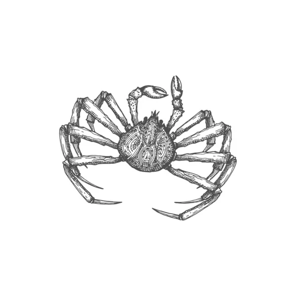 Sea Ocean Crab Isolated Marine Animal Monochrome Sketch Icon Vector — Stock Vector