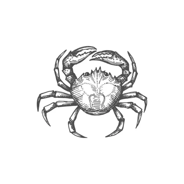 Underwater Animal Pincers Claws Shellfish Crab Isolated Monochrome Sketch Icon — Stock Vector