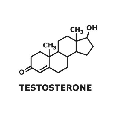 Chemical molecular formula hormone testosterone isolated line art design element. Vector testosterone primary sex hormone and anabolic steroid in male humans, reproductive prostate tissues