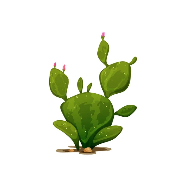 Mexican Cactus Agave Neglecta Wild Century Plant Isolated Pelmeri Americana — Διανυσματικό Αρχείο
